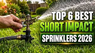 Top 6 Best Short Impact Sprinklers 2026!