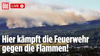 Feuerwalze in NRW: Kampf der Feuerwehr gegen die Flammenhölle in Hürtgenwald | BILD LIVE