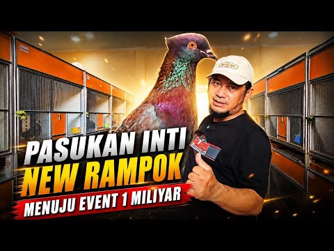 STRATEGI NEW RAMPOK EVENT 1 MILIYAR LAPAK LEGOK PEKALONGAN.