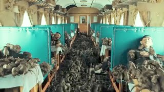【FULL】A large number of poisonous rats captured the train, and everyone escaped from death!
