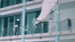 Advanced bionics from Festo Robotics