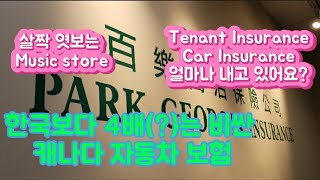 캐나다에서 자동차 보험과 집보험 가입하기. 집주인들이 요구하는 Tenant Insurance. 음악교재 사러 TOM LEE Music store로! #자동차보험 #집보험 #77