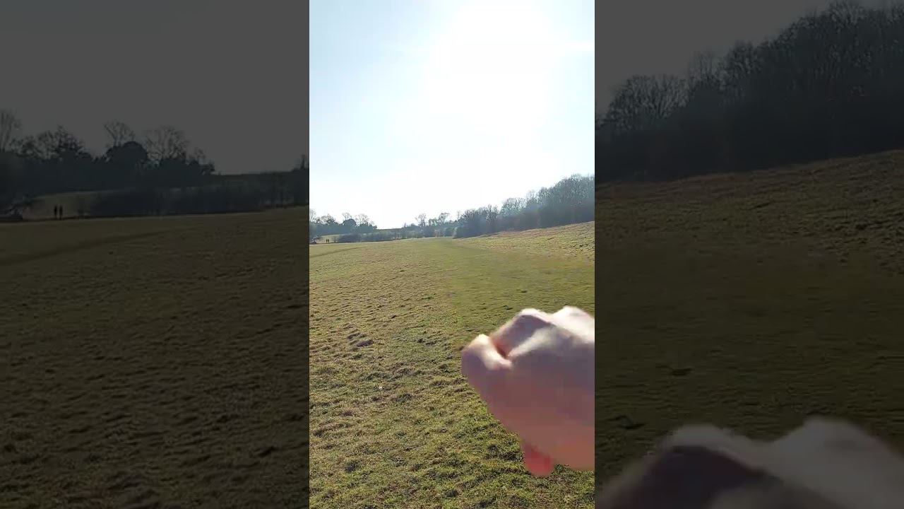 Chipstead Downs, 13/2/2023 - Part 2