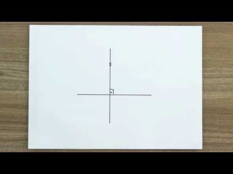 1 DG -