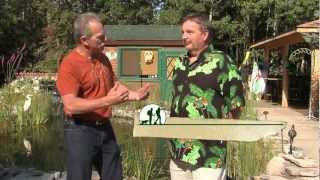 Great Getaways Springbrook Inn - Houghton Lake MI