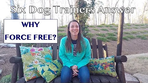 Why Force Free? Six Trainers Share Their Thoughts