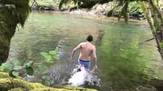 Song Removed [Nature_Walks;[Losing headphones];[09062017;84GfqvkRPfBeHs3u]]