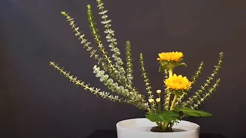 插花艺术--你会喜欢哪一种插花技法 Flower Arrangement Ideas - 天天要闻