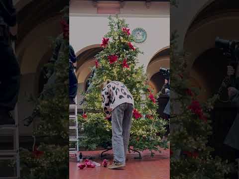 В Итальянском дворике нарядили ёлку