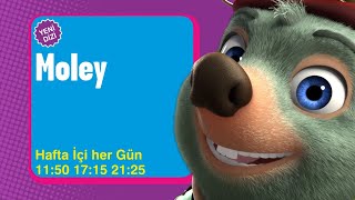 Moley Hafta İçi Her Gün 11.50 - 17.15 - 2125 Boomerang Tv Türkiye