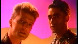 DAF - Brothers