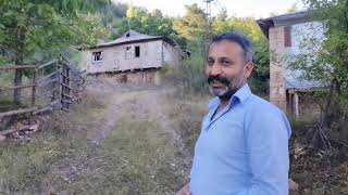 Tavara koyu Mesudıye