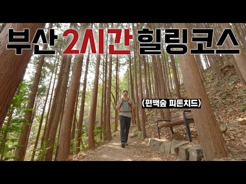 오션뷰에 편백숲까지 [부산 영도 봉래산] 여행 코스 추천