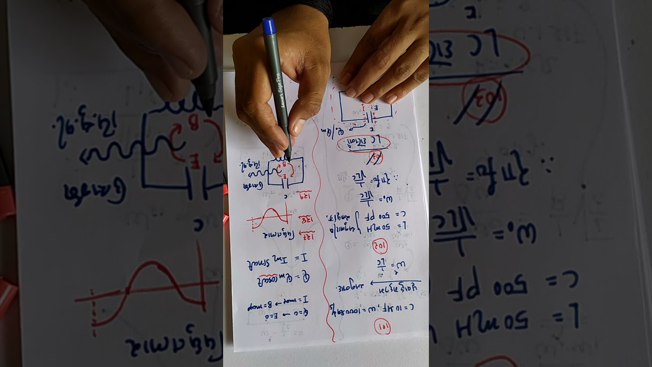 12 Sci Ch 7 MCQ Sec D 12