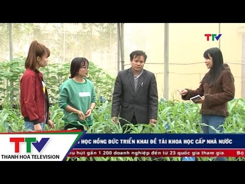 Video Trường Đại học Hồng Đức triển khai đề tài khoa học cấp... - youtube