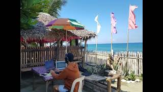 Pandemic WFH setup