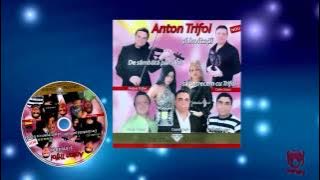 HIT - Ionela Pascu - De m`ar intreba dusmanii