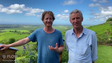 Celebrating 5 years of Flow Hive 🍯🐝