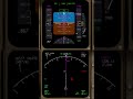 空中衝突防止装置の作動(ショート動画テスト)
