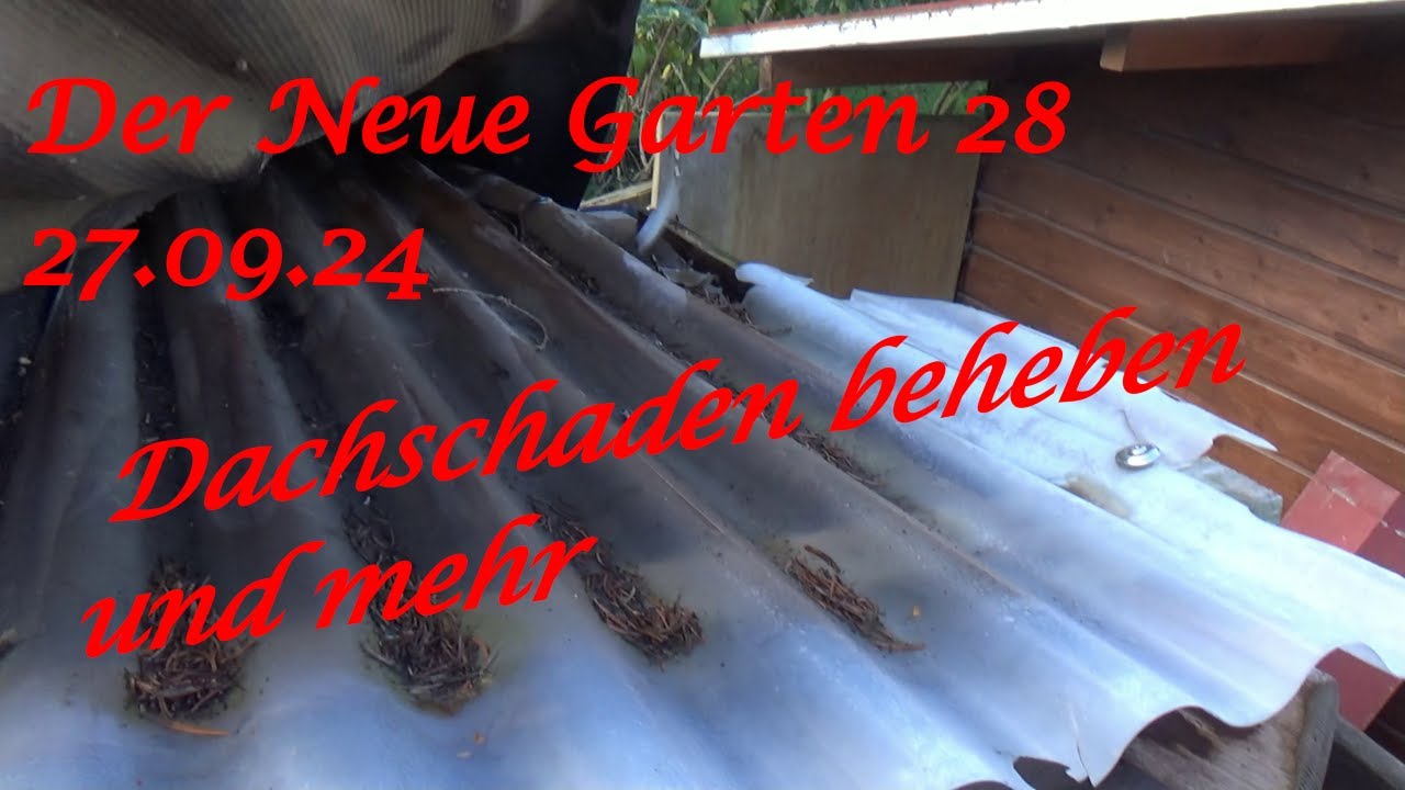 Der Neue Garten 28 27.09.24 Dachschaden beheben und mehr Der