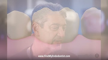 AAE President Appears on WEWS News 5 Cleveland