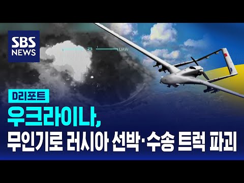 우크라이나, 무인기로 러시아 선박·수송 트럭 파괴 / SBS / #D리포트