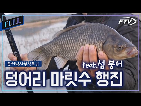 [Full]덩어리의 연이은 입질! 섬 붕어 마릿수 진격 앞으로![붕어낚시월척특급/882회]