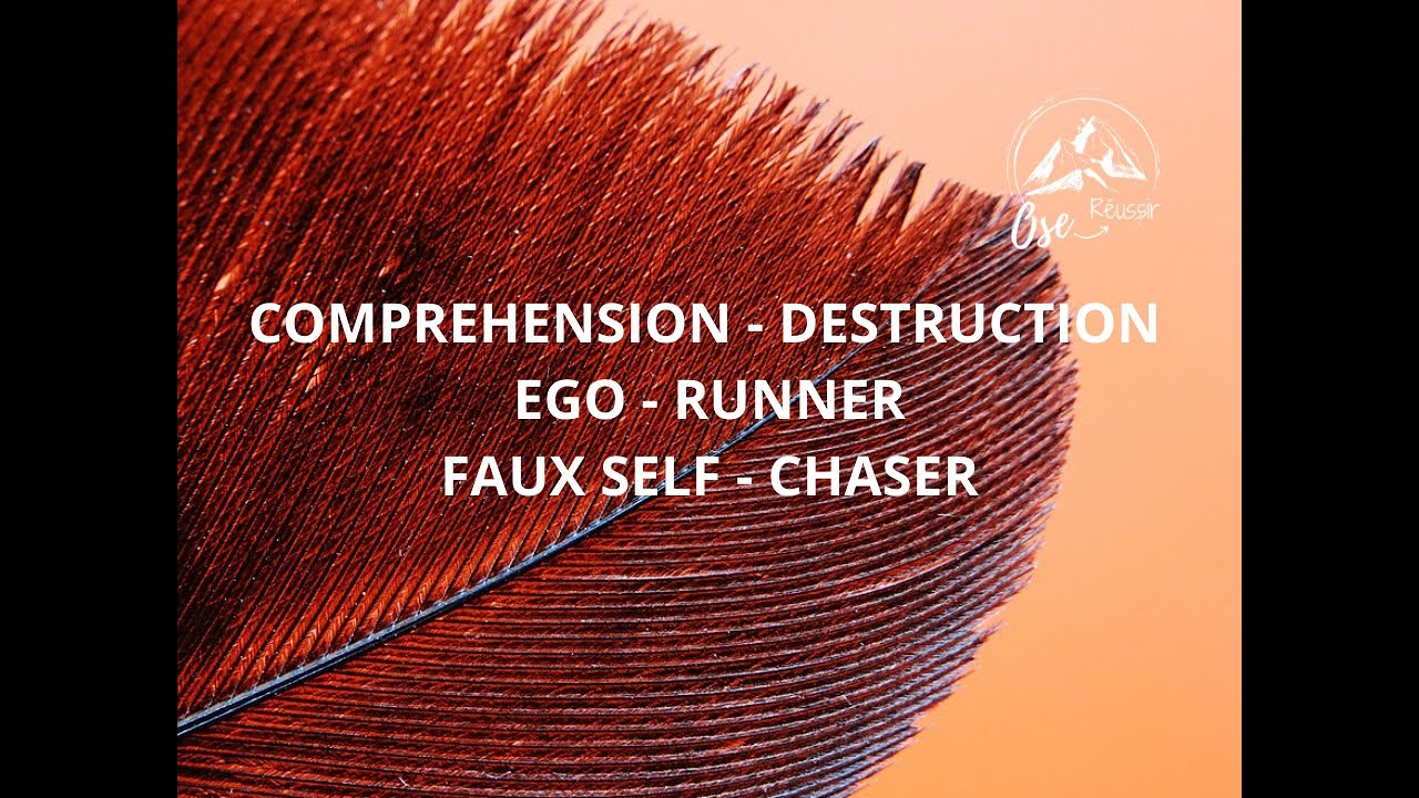 FJ : Compréhension et déconstruction Ego côté Runner et Faux self côté Chaser
