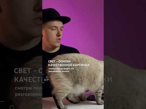 Свет - основа качественной картинки в любом видео #съемкавидеонасмартфон #каксниматьвидео
