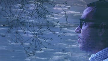 What Stable Isotopes Can Tell Us About the Gulf Food Web