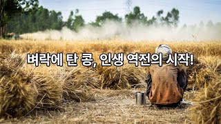 벼락부자영상