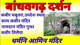 Video Download