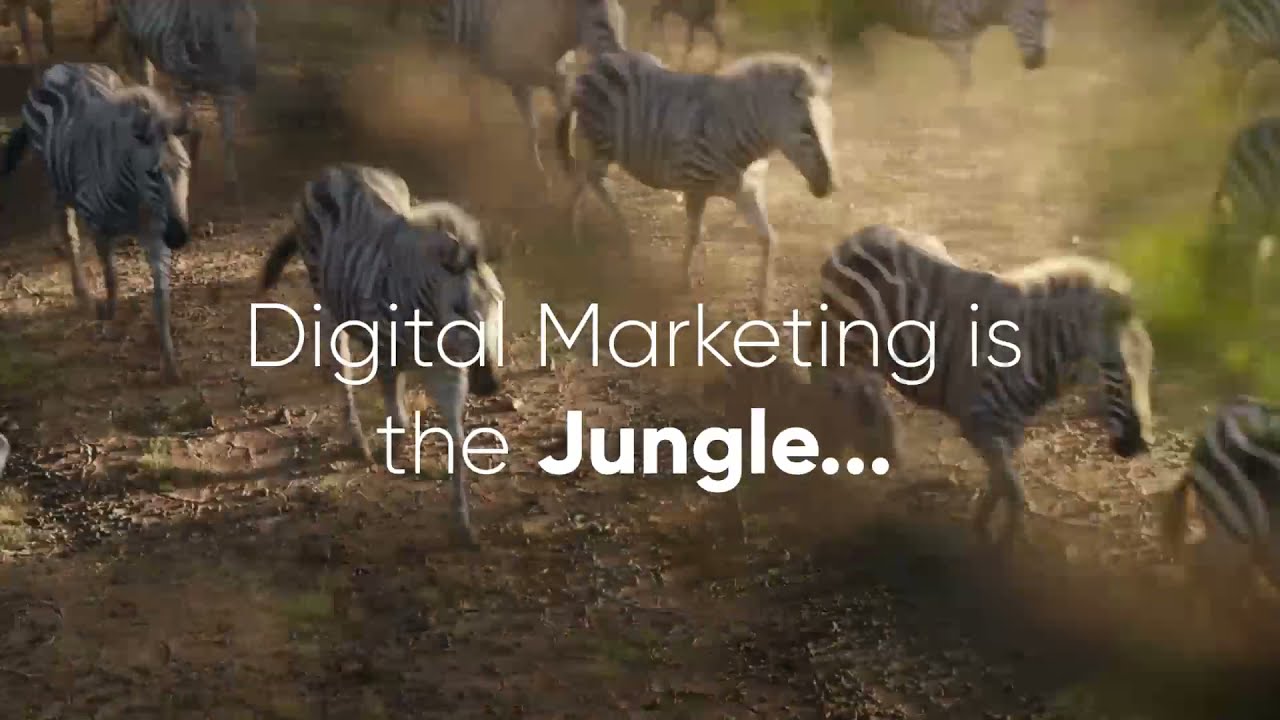 Update Complete Digital Marketing in 2 min | Digital Marketing is a Jungle, Hard To Understand
