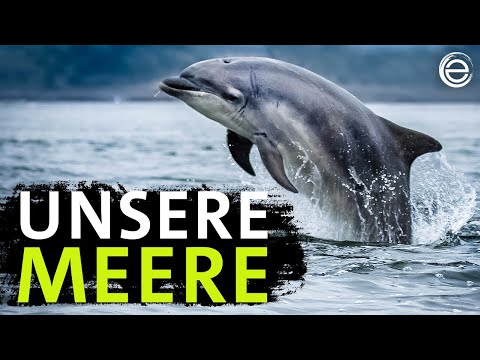 Unsere Meere –