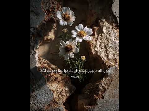تأخرت أمانيك لا تحزن عسى أن تكرهوا شيئ ا وهو خير لكم خواطر ترند مقاطع دينية مقاطع ملهمة