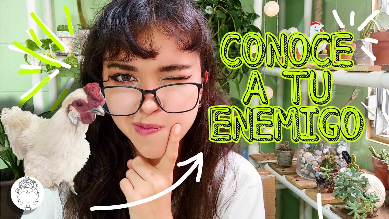 Como ELIMINAR HORMIGAS en las sucus 3 SOLUCIONES super efectivas y fáciles para tu jardín 🐔🐜💯🐜👀🌵🐜💚