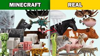 Classic Minecraft Animals and Real World Animals Lookalike Compared screenshot 1