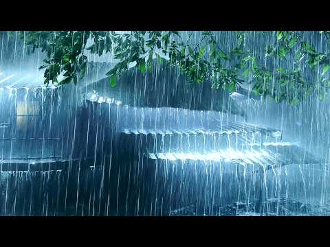 Deep Sleep Easily in 3 Minutes with Torrential Rainfall on Tin Roof & Heavy Thunder on Rainy Night