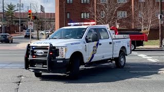 PPD T61 Responding HORN