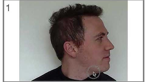 Interactive Lineup, Sequential Presentation