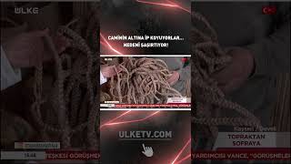 Caminin Altına İp Koyuyorlar… Nedeni Şaşırtıyor #shorts