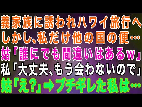 【スカッとする話】私を嫌っている義家族に誘われハワイ旅行へ出発すると、私だけ違う国の便に乗せられた…姑「間違いは誰にでもあるわw」私「大丈夫！もう会うのは最後なので」姑「は？