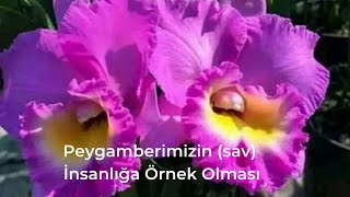 Peygamberimizin (sav) İnsanlığa Örnek Olması