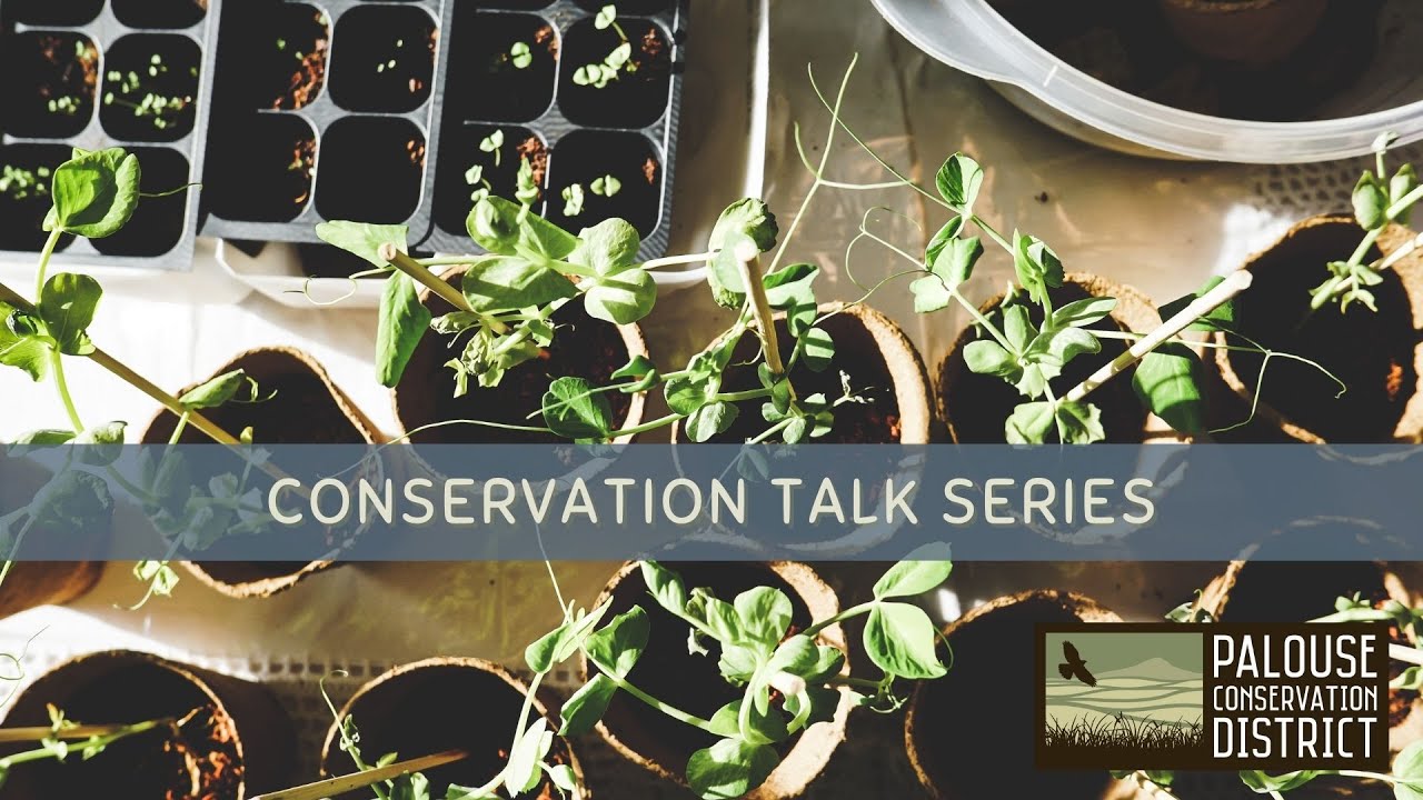 Conservation Talk Series | Plant Diseases in the Garden