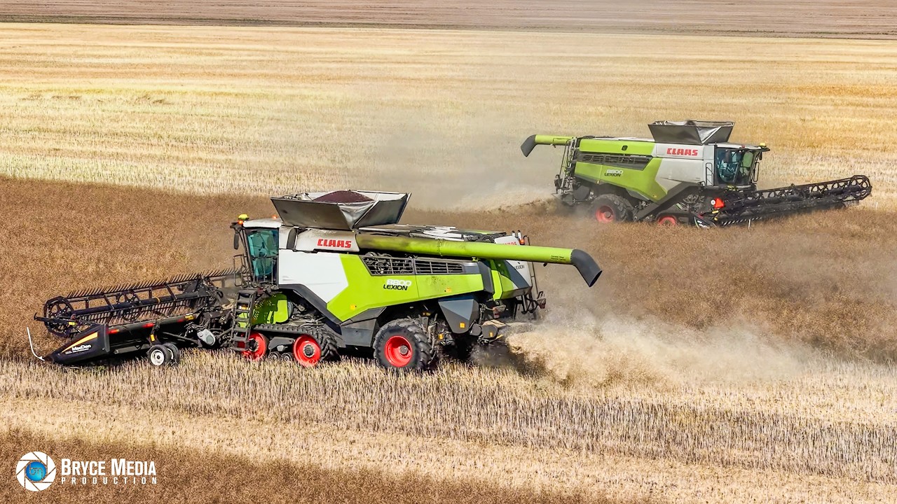 New Holland CR 9.90 & 2x Claas Lexion 8800 + MacDon - Ernte XL in Kanada auf der Mayview Farm P2🇨🇦
