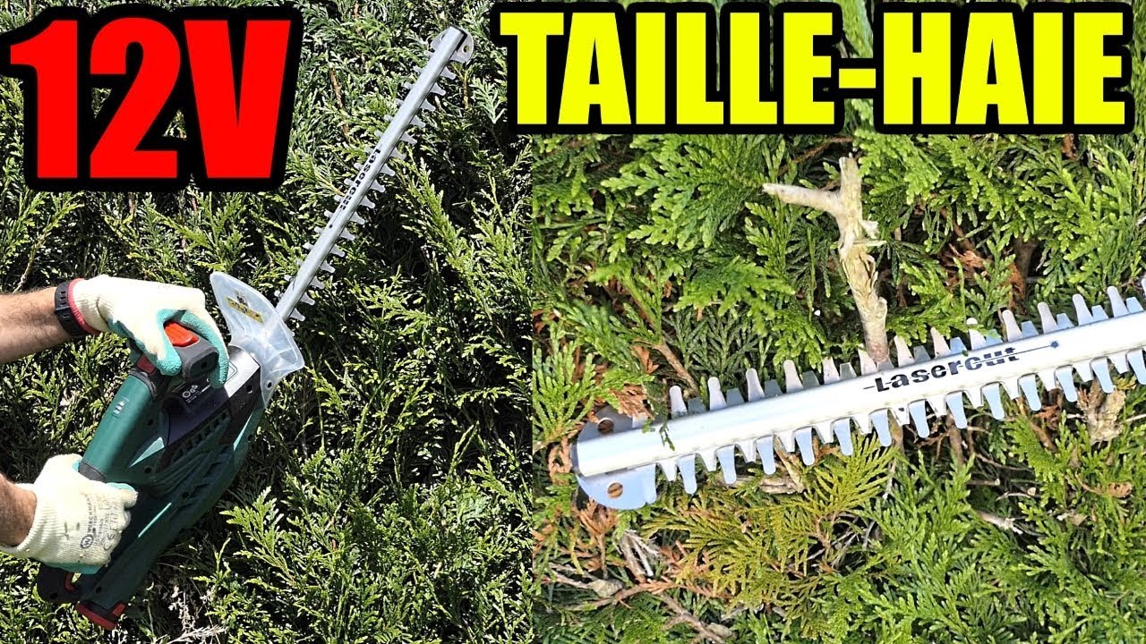 PARKSIDE Taille-haie 12v X12VTEAM PHSA 12 A1 Cordless Hedge Trimmer Akku- Heckenschere - YouTube
