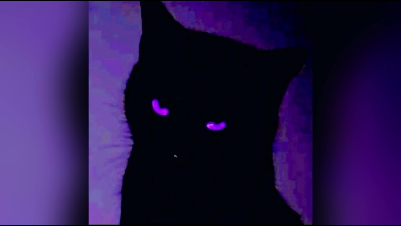 Kevin JZ Prodigy - THE CUNTY VOGUE SESSION (VOGUE REMIX BY TOKYO PRODIGY)