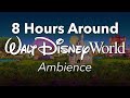 8 hours around walt disney world park ambience  background park area ambience