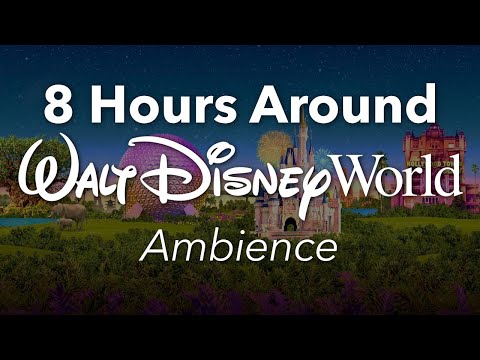 Vídeo: Experiències amb personatges a Disney World