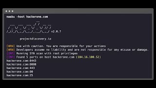 Naabu || Passive Port Scanning Tool